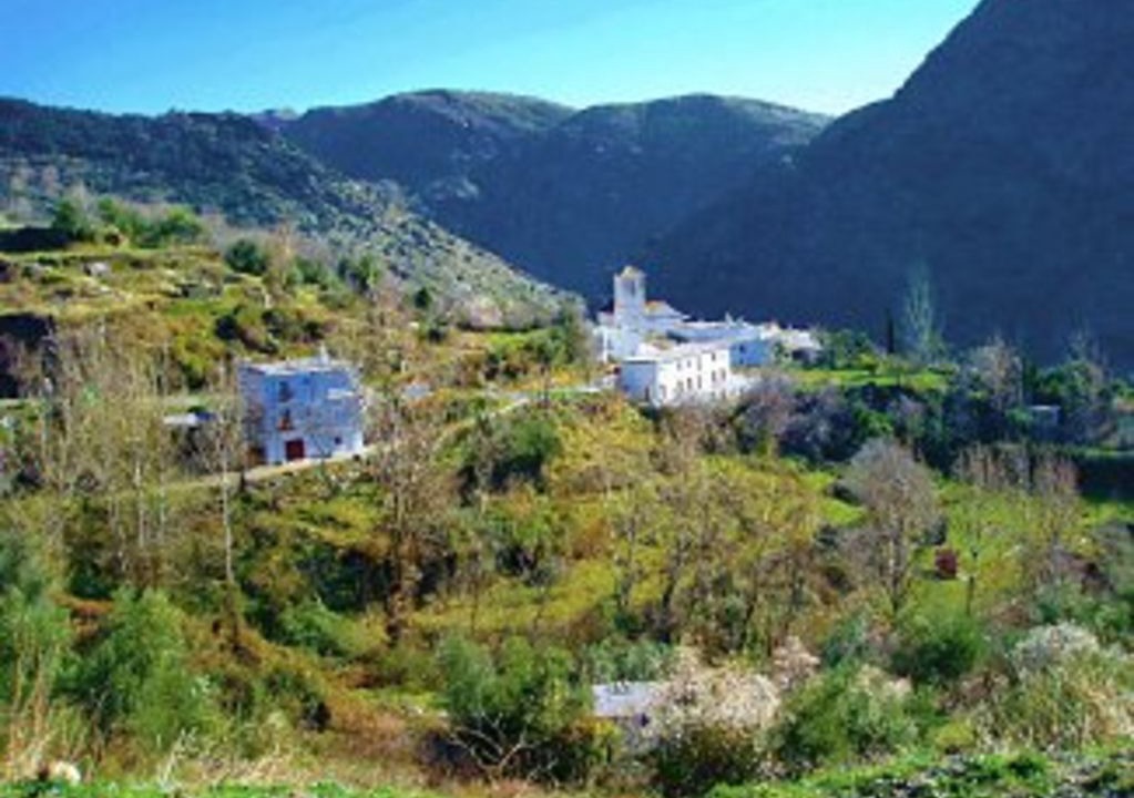 Photo of Others in Ferreirola