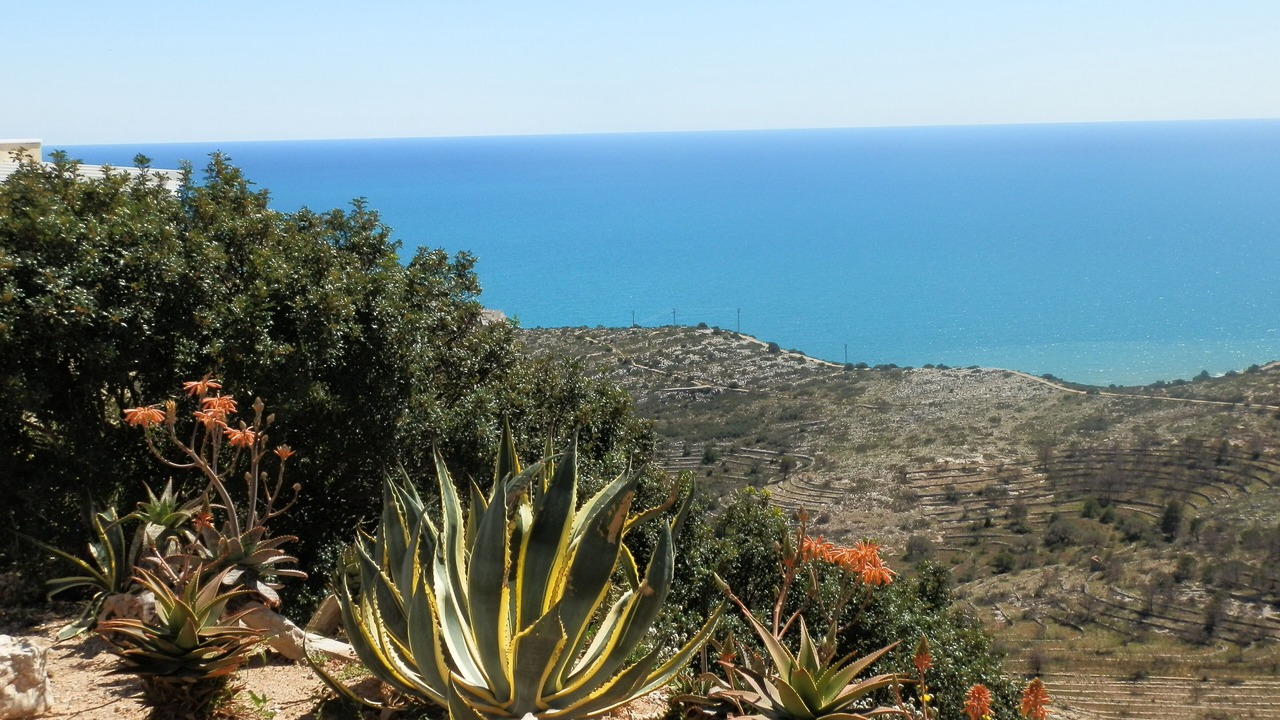 Photo of Outdoor in Peniscola