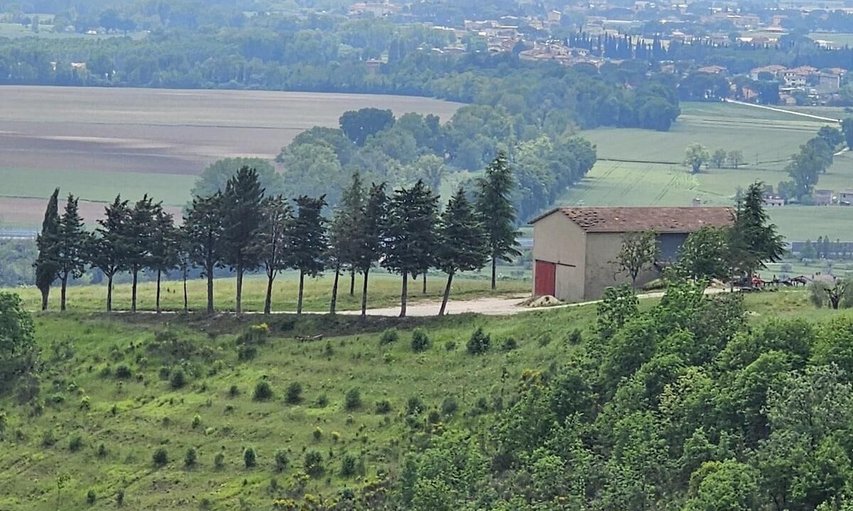 Photo of Others in Castel d'Arno