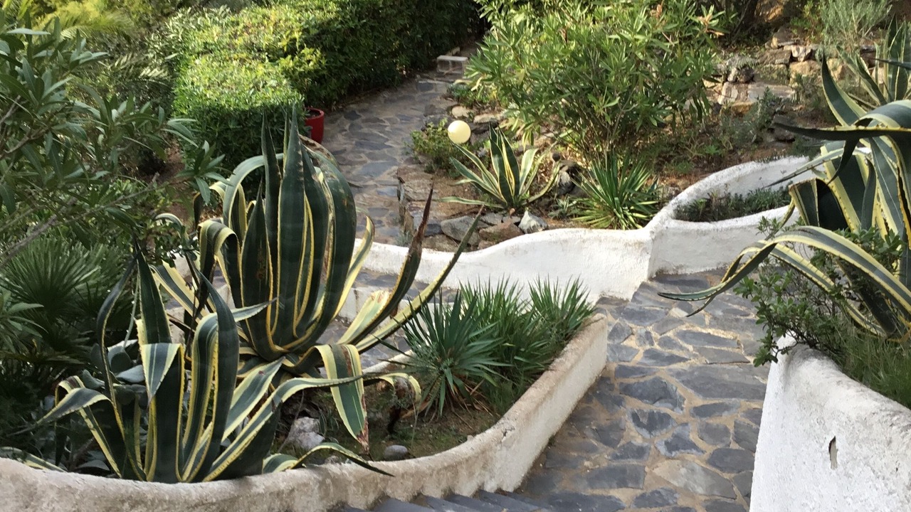 Photo of Outdoor in Almadraba-Canyelles