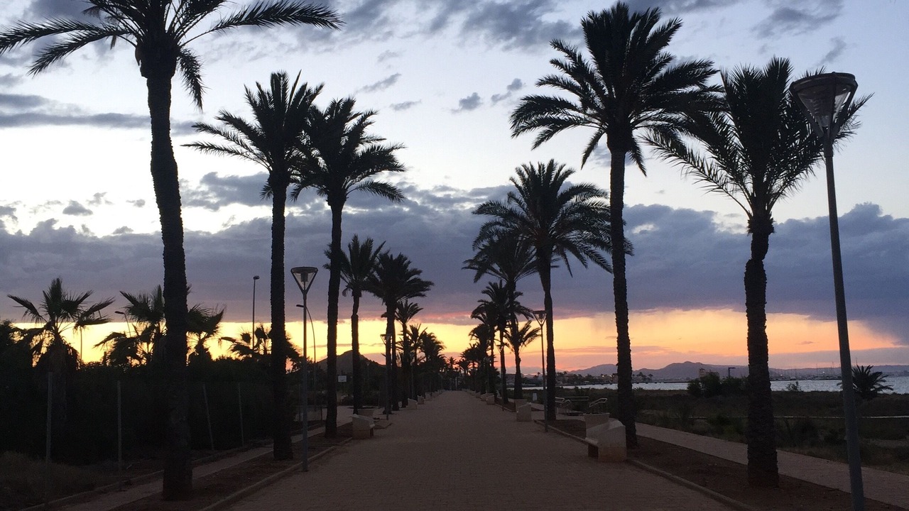 Photo of Others in El Algar