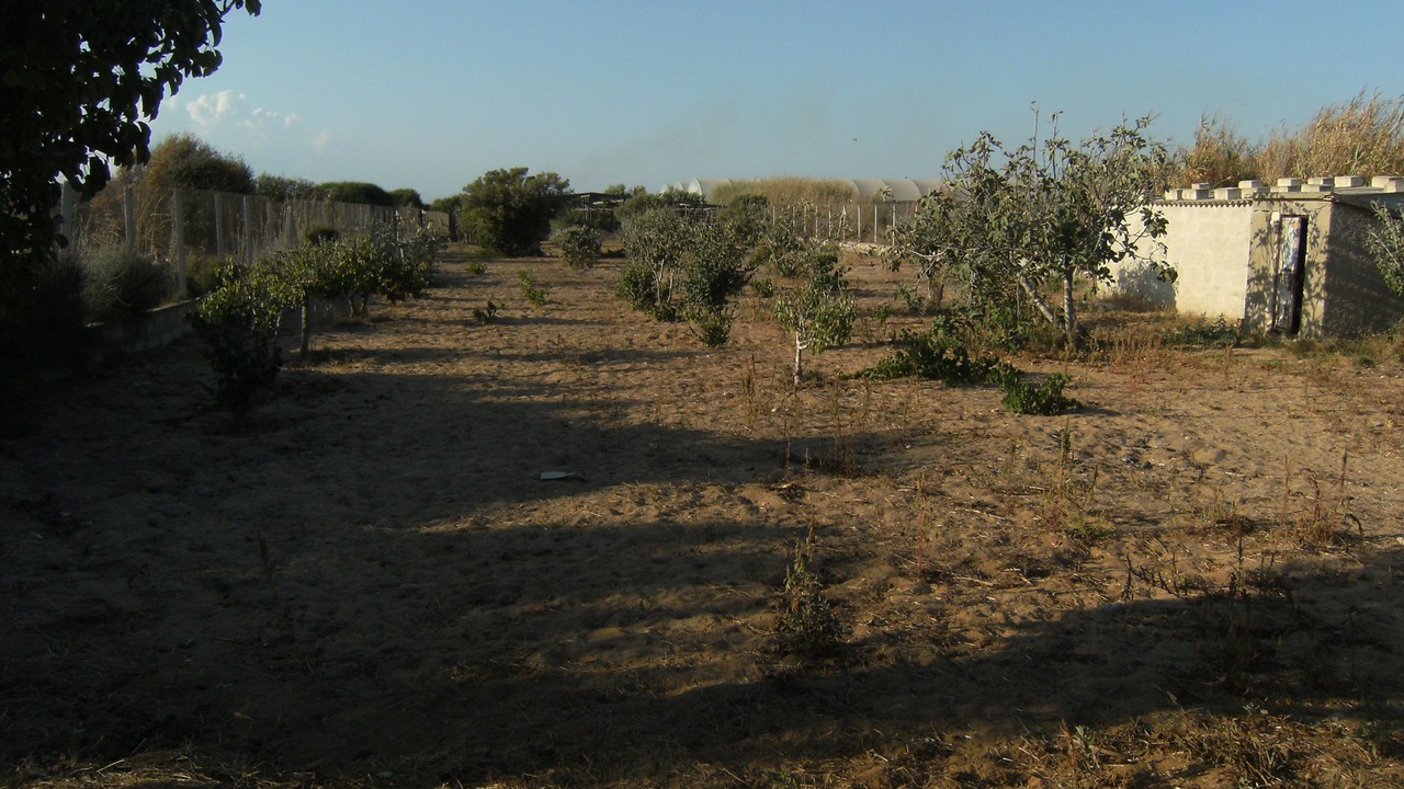 Photo of Outdoor in Portopalo di Capo Passero