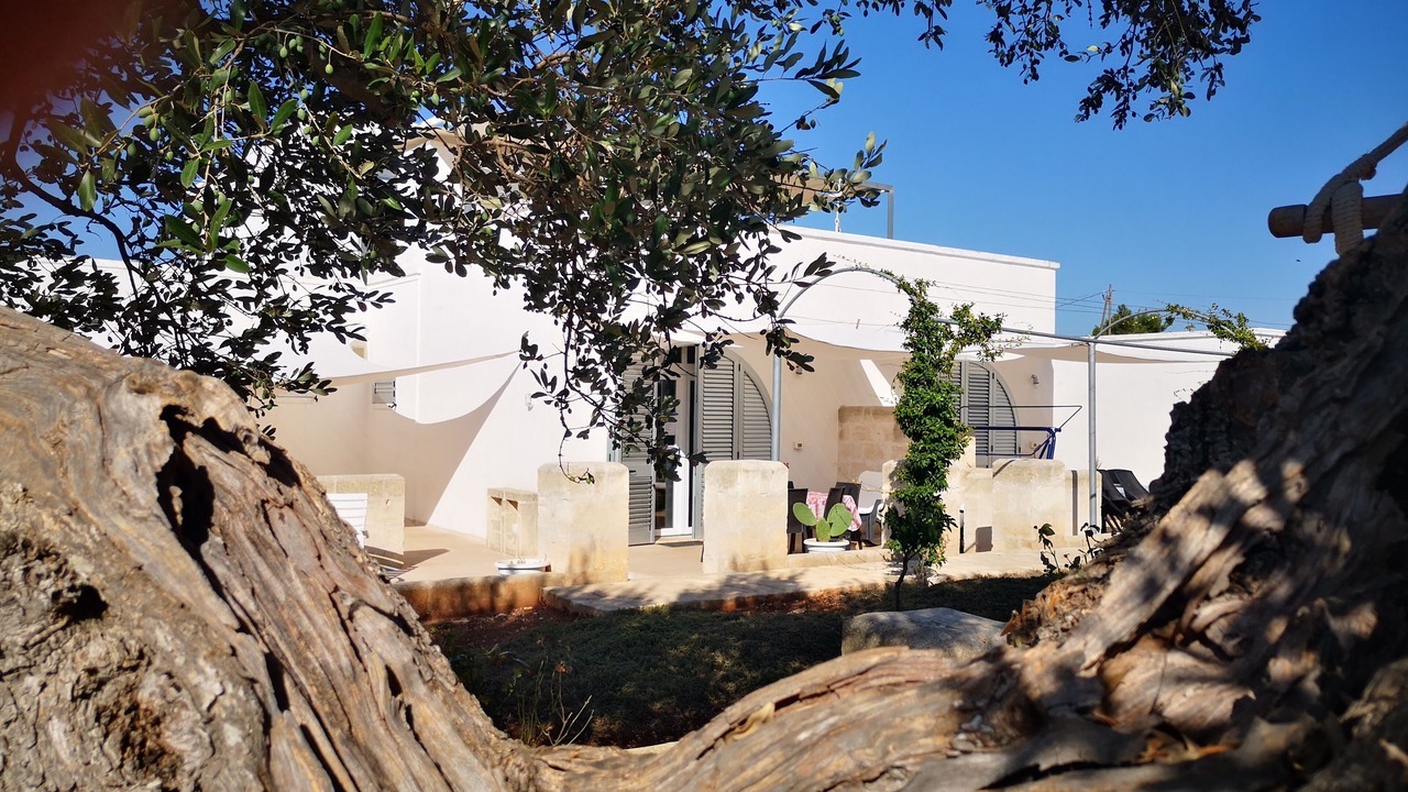 Photo of Outdoor in Cisternino