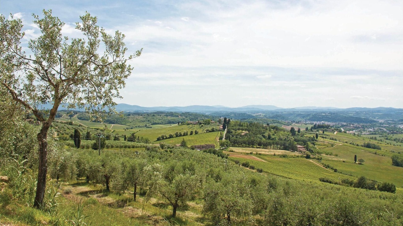 Photo of Others in Gavignano