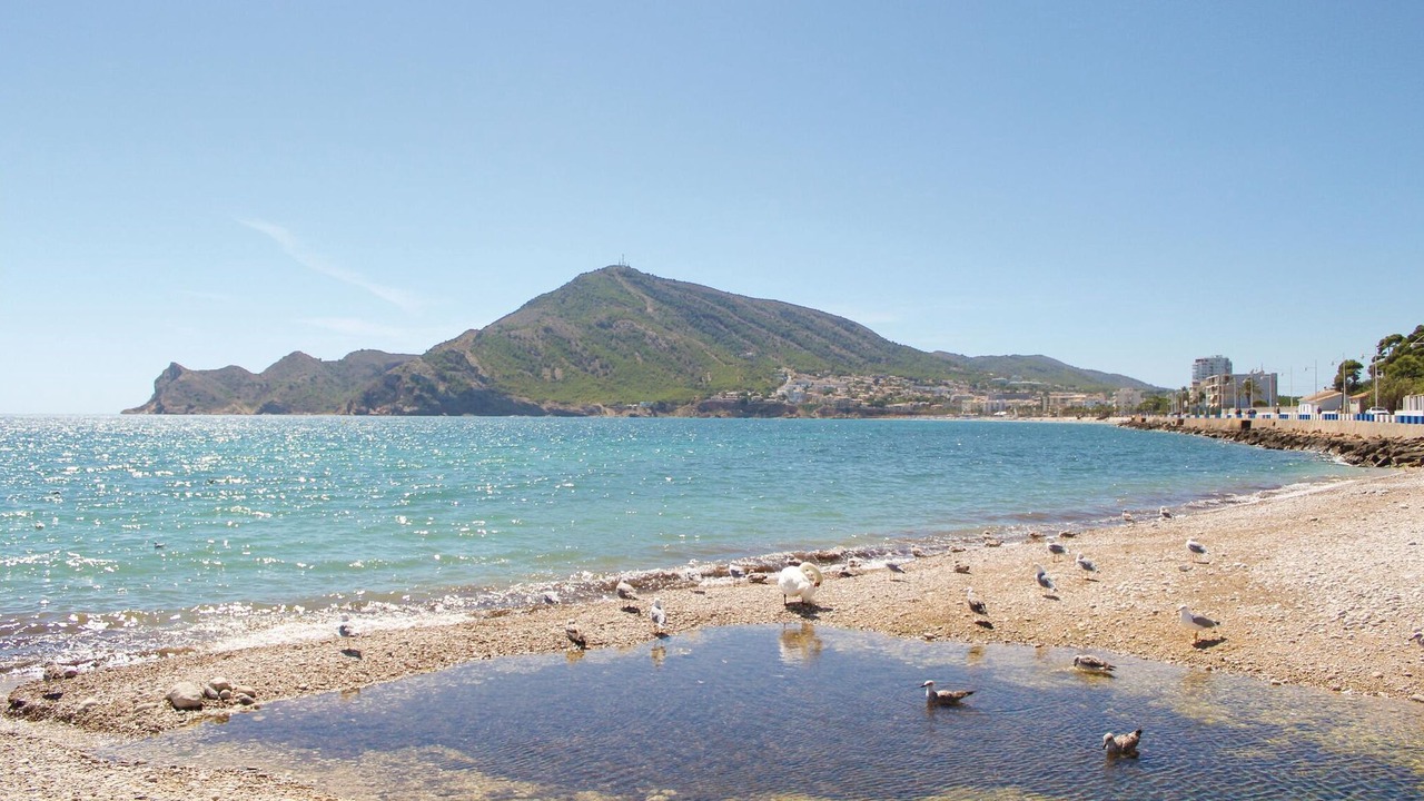 Photo of Others in El Albir