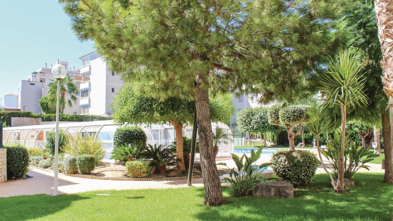 Photo of Others in El Albir