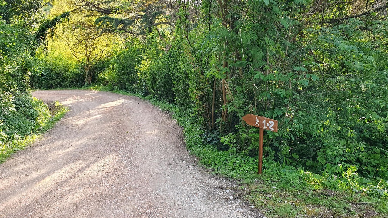 Photo of Others in Fauglia