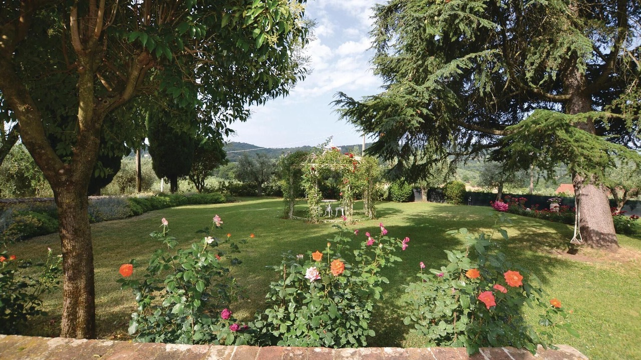 Photo of Others in Monte San Savino