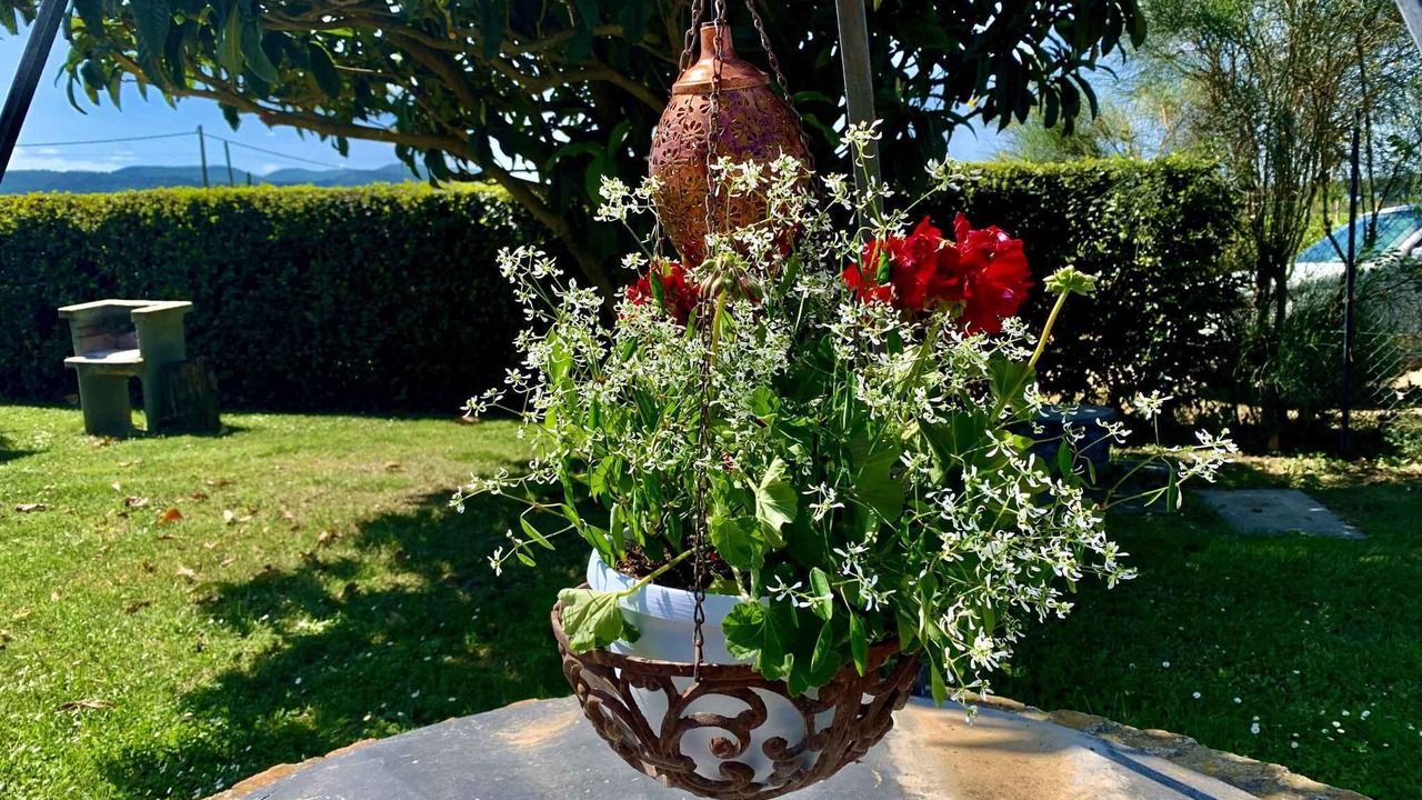 Photo of Outdoor in Torgiano