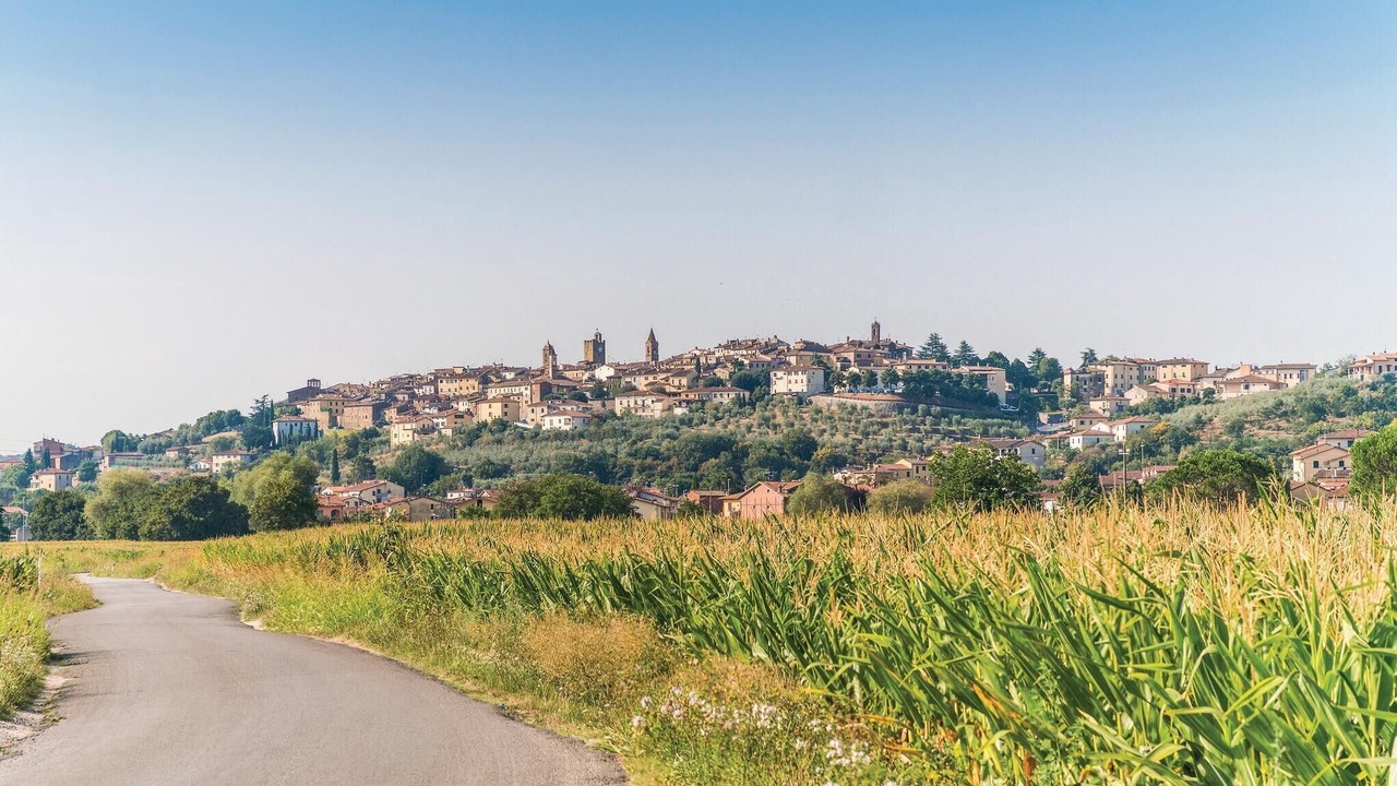 Photo of Others in Monte San Savino