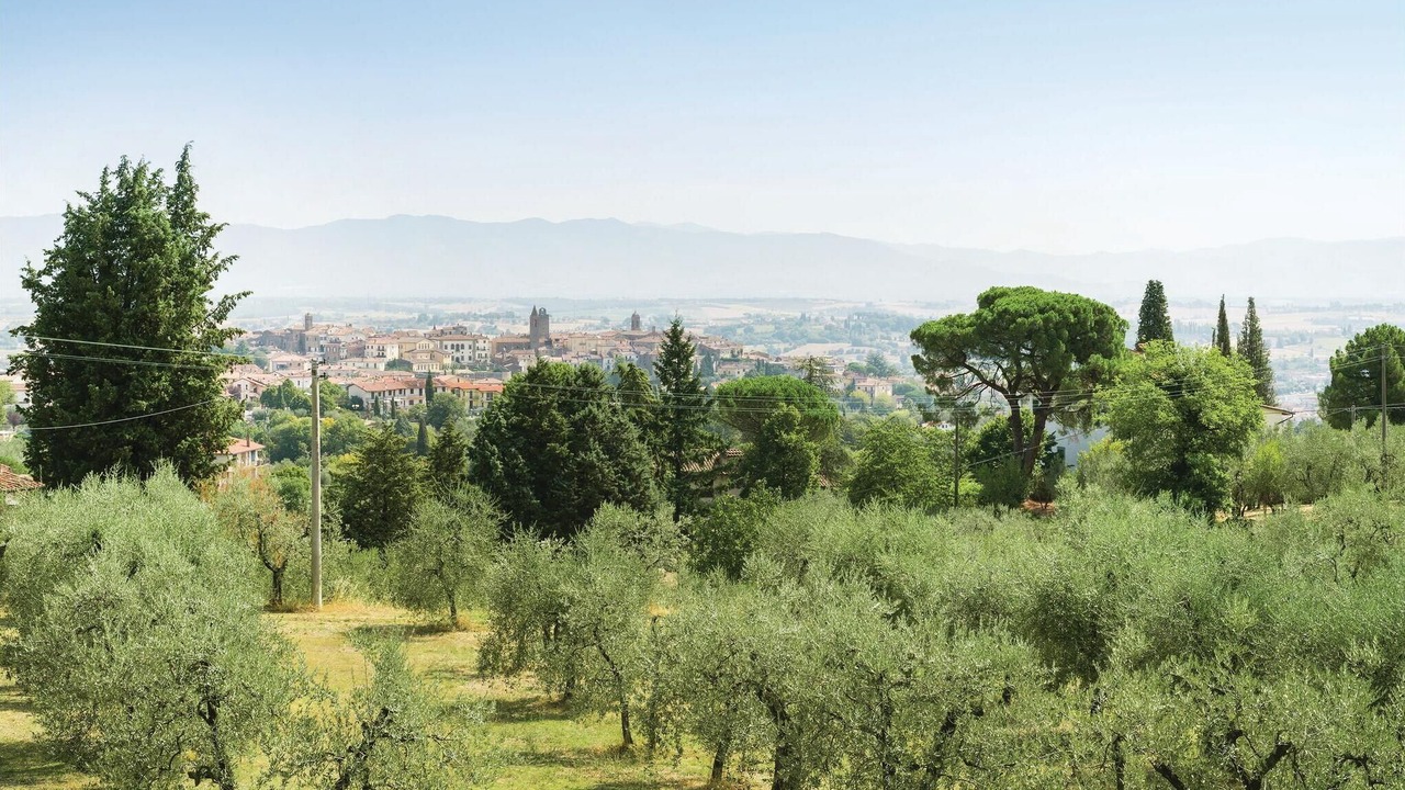 Photo of Others in Monte San Savino