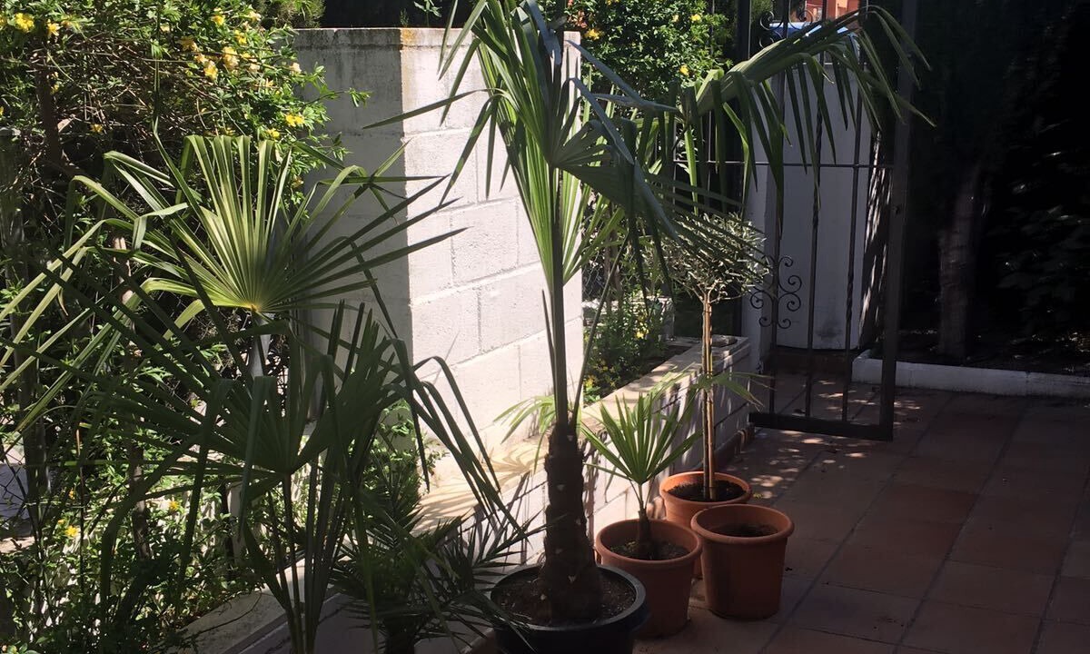 Photo of Outdoor in Rivas-Vaciamadrid
