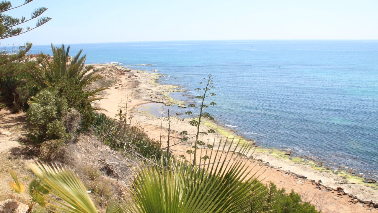 Photo of Others in Torrevieja