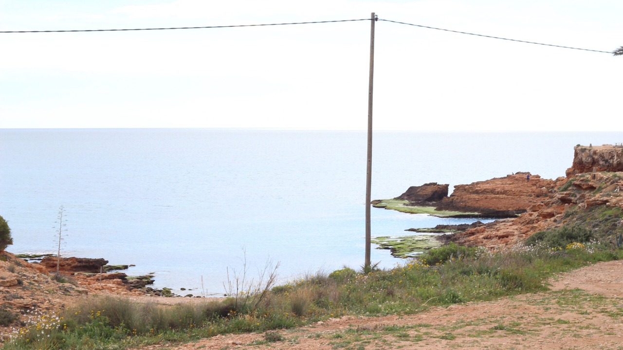 Photo of Others in Torrevieja