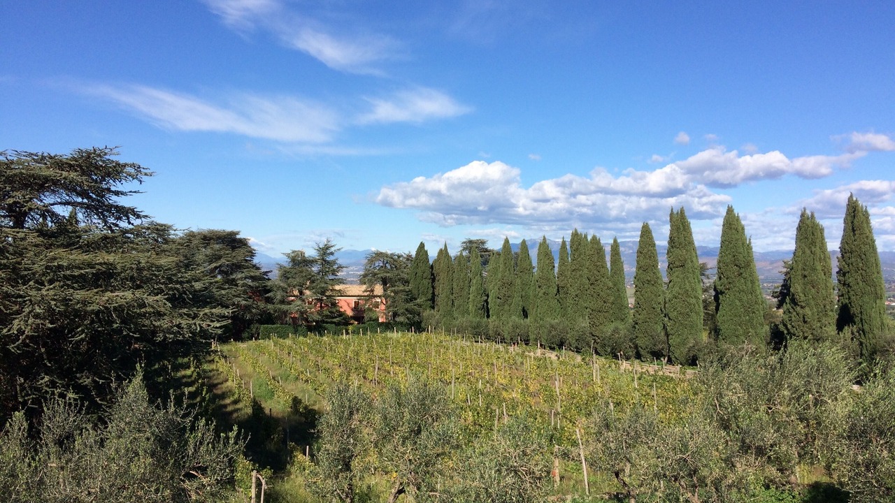 Photo of Outdoor in Monte Porzio Catone