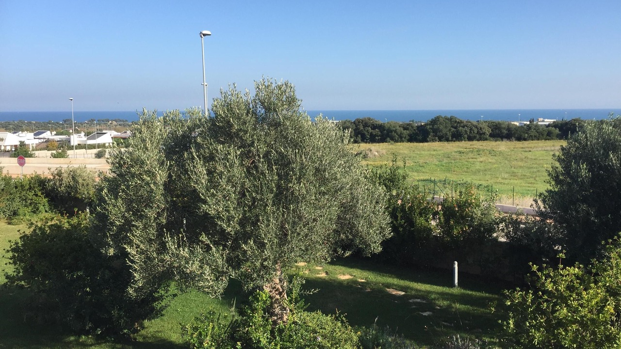 Photo of Outdoor in Polignano a Mare