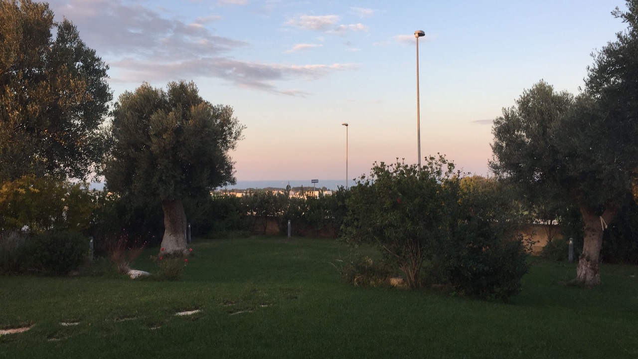 Photo of Outdoor in Polignano a Mare