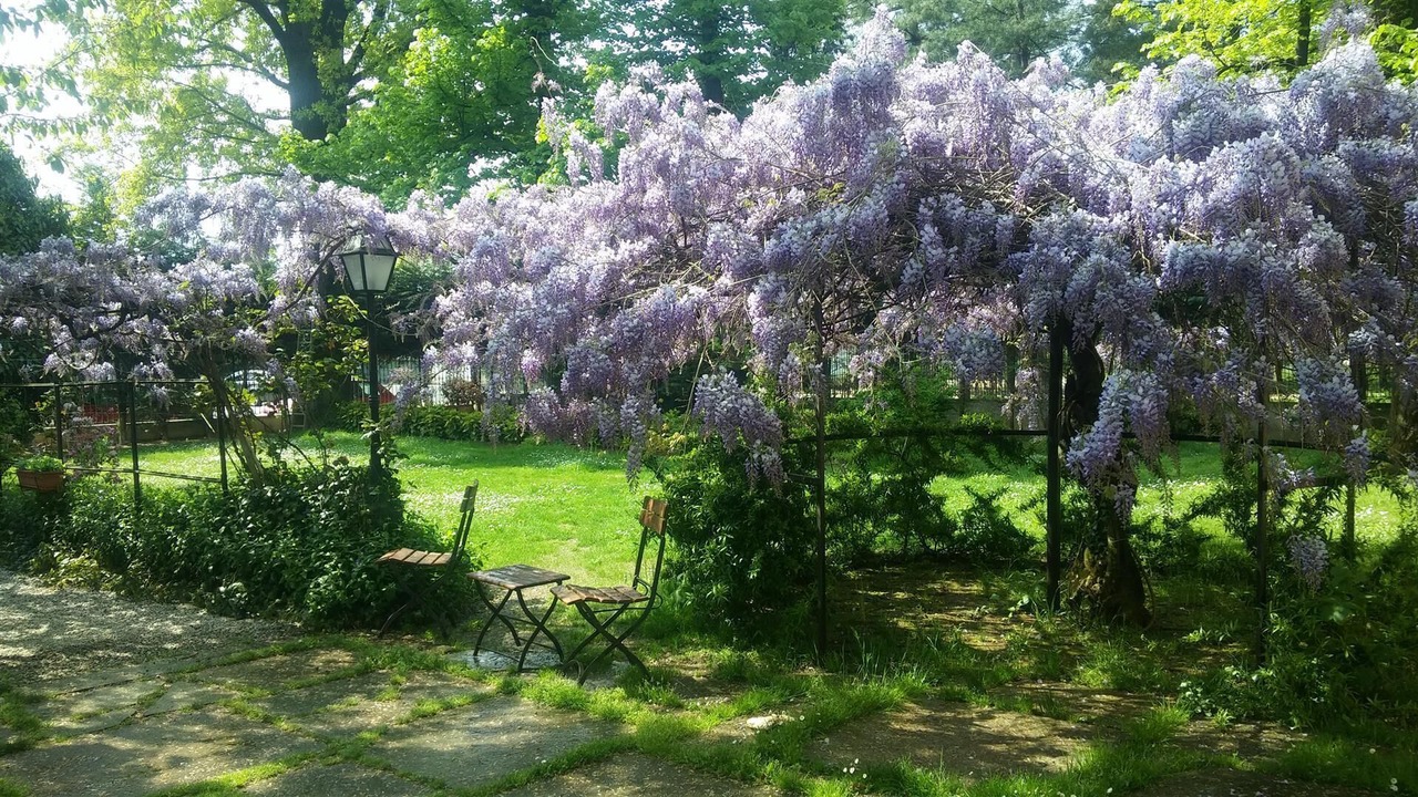 Photo of Outdoor in Piossasco