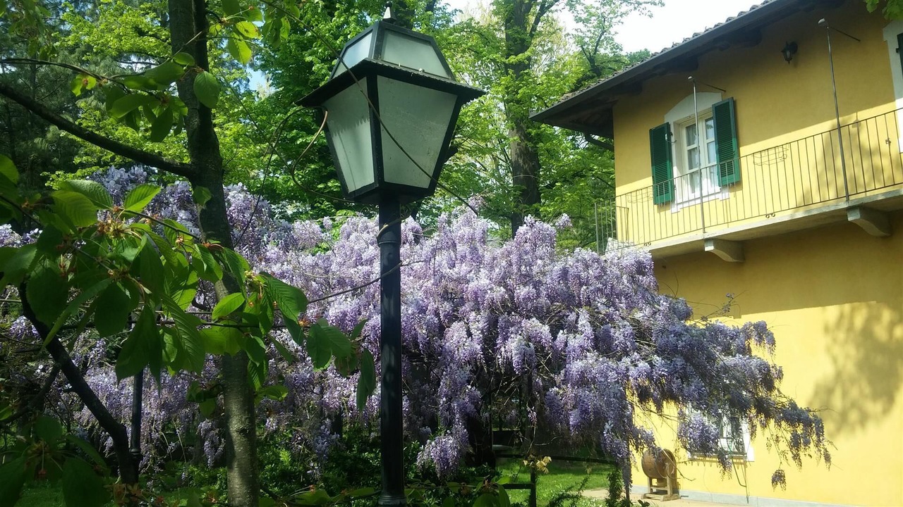 Photo of Outdoor in Piossasco