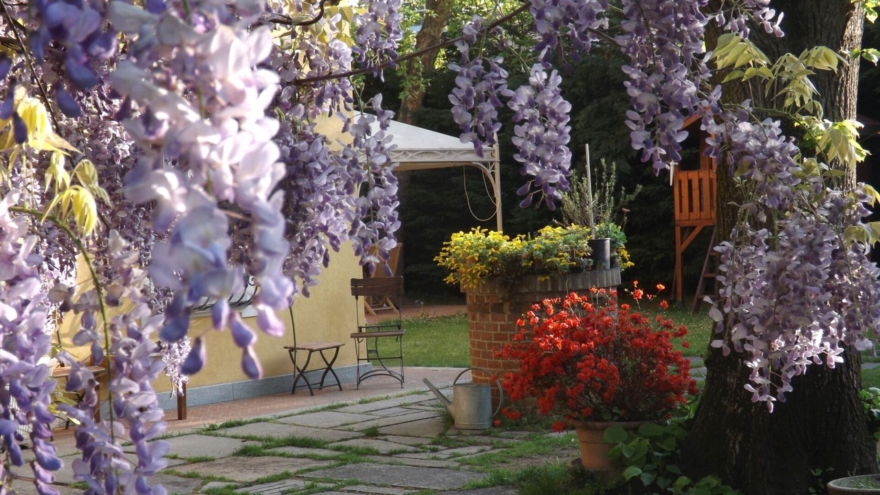 Photo of Outdoor in Piossasco