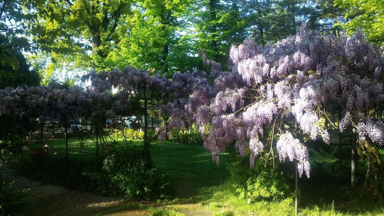 Photo of Outdoor in Piossasco
