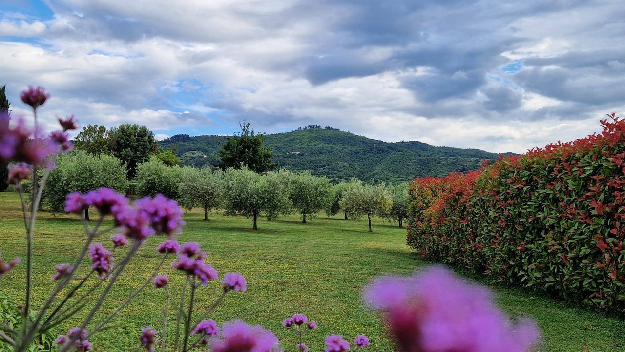 Photo of Outdoor in Panicale