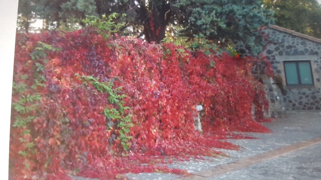 Photo of Outdoor in Orvieto