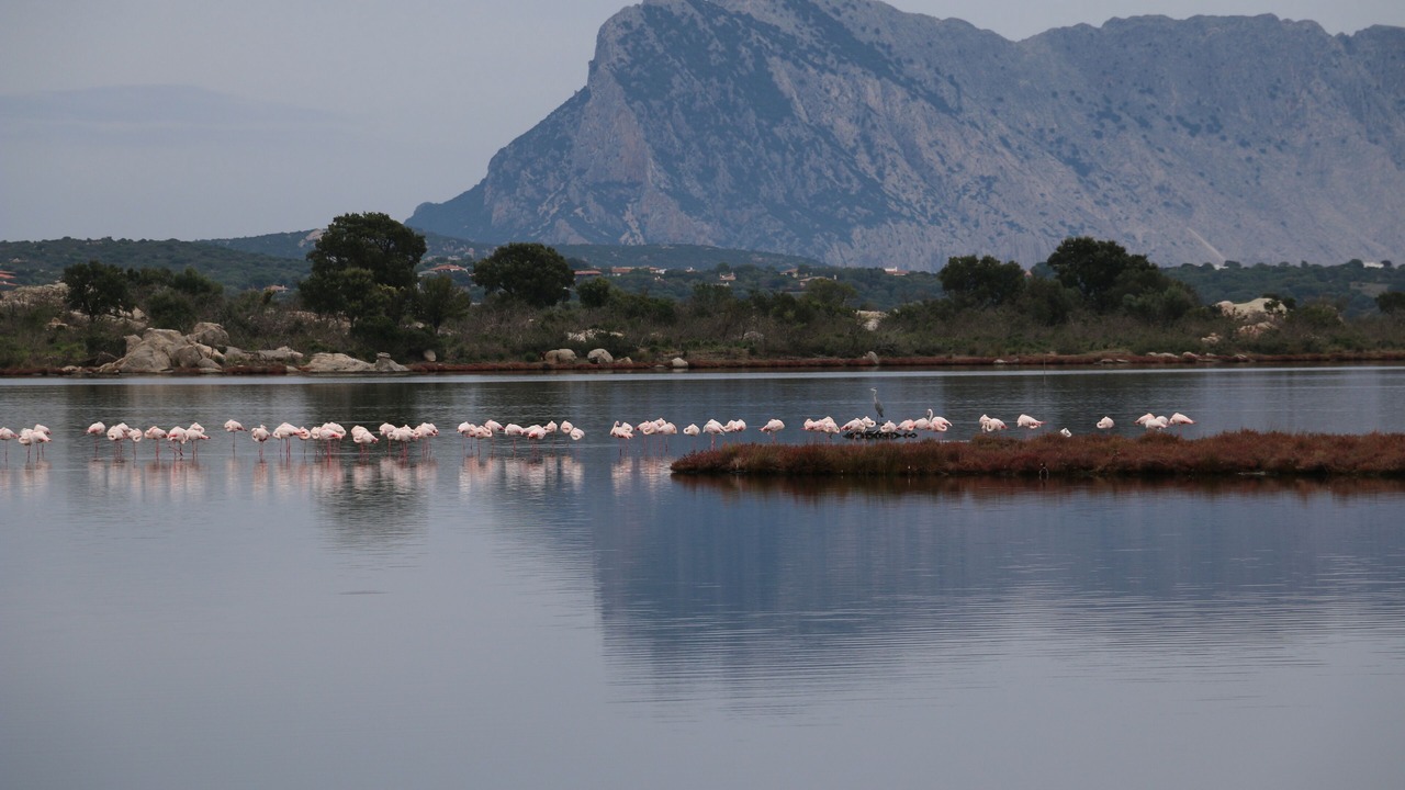 Photo of Others in Lu Lioni
