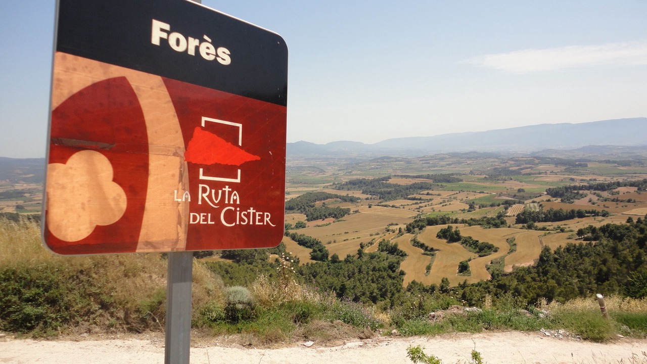 Photo of Outdoor in Fores