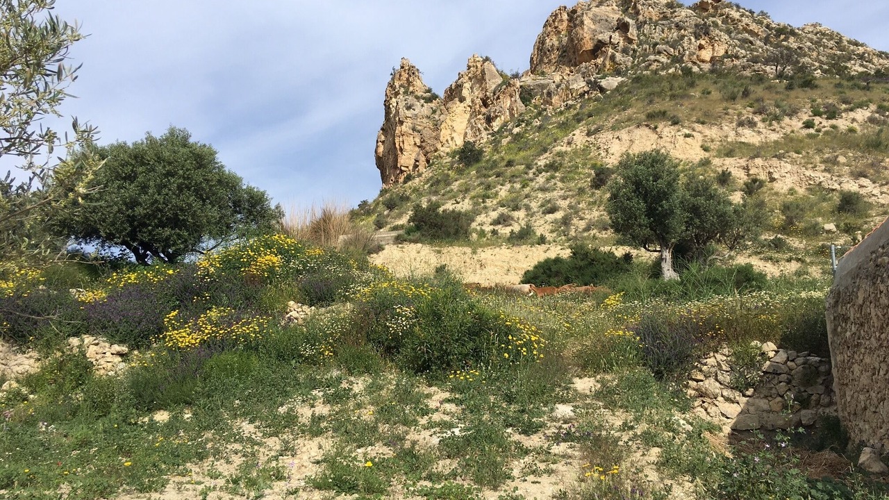 Photo of Others in Sorbas