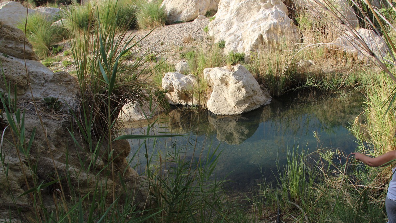 Photo of Outdoor in Sorbas