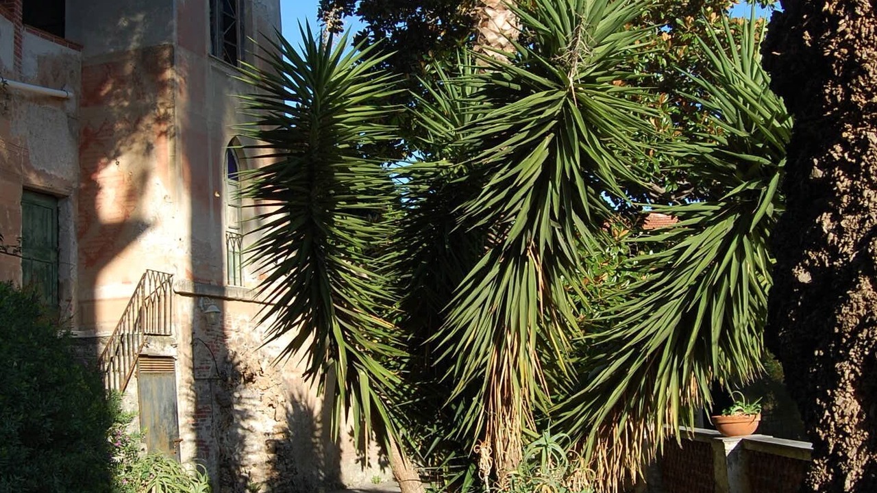 Photo of Outdoor in Noli