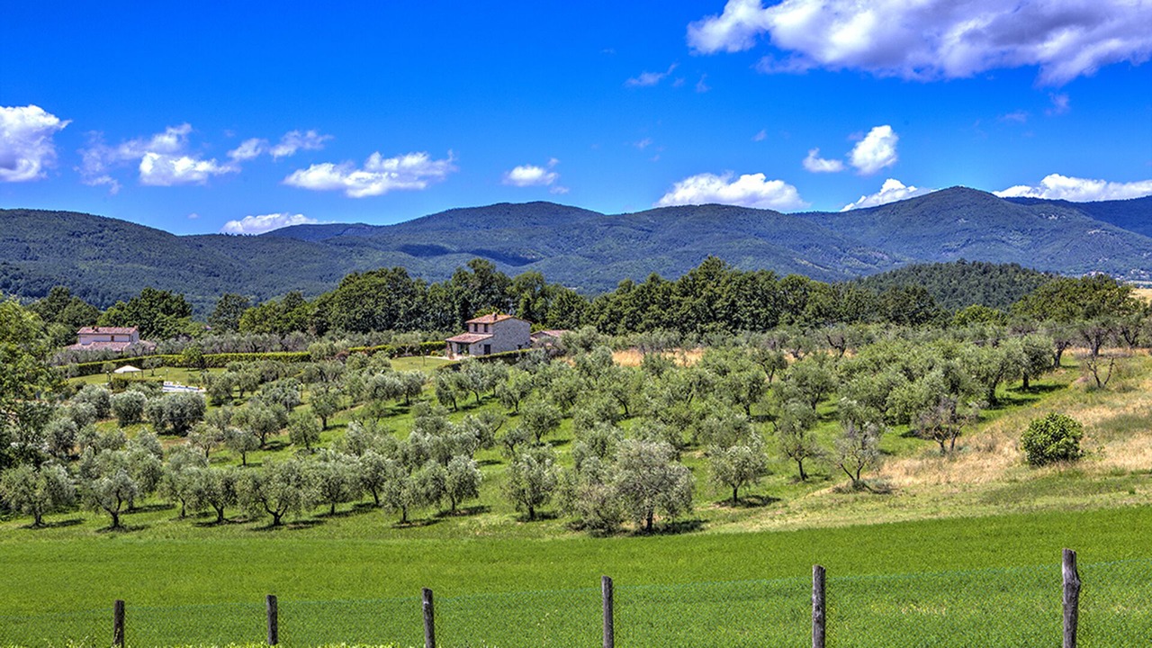 Photo of Outdoor in Montecastrilli