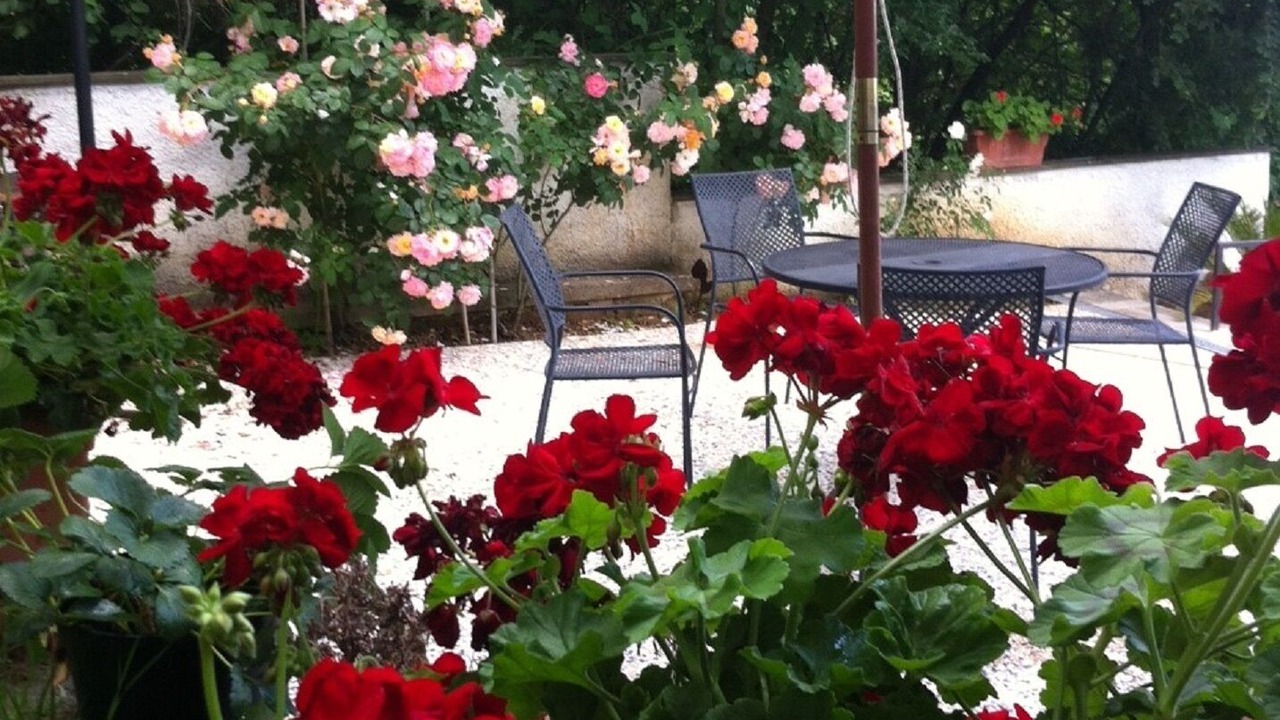 Photo of Outdoor in Poggio