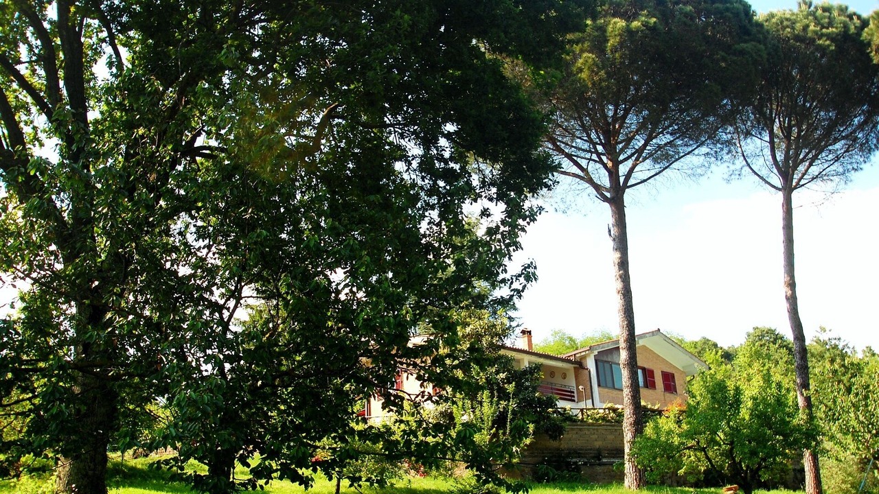 Photo of Outdoor in Poggio