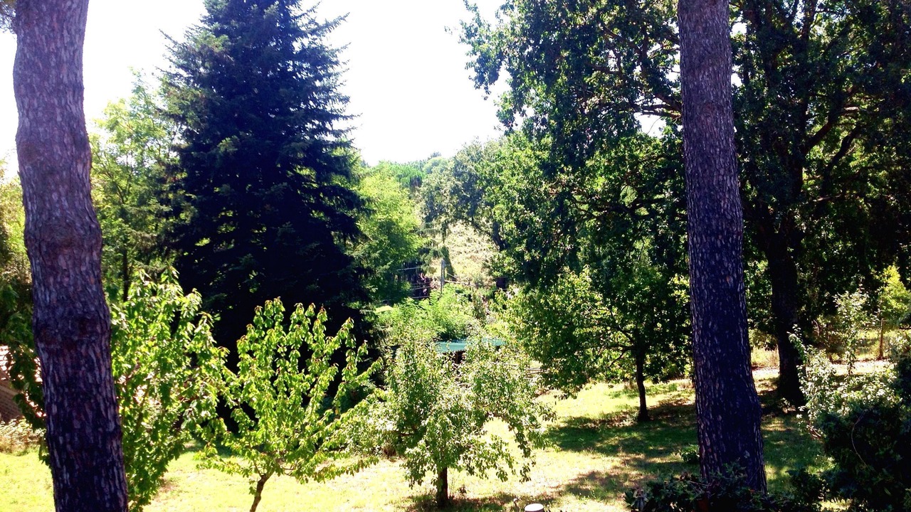 Photo of Outdoor in Poggio