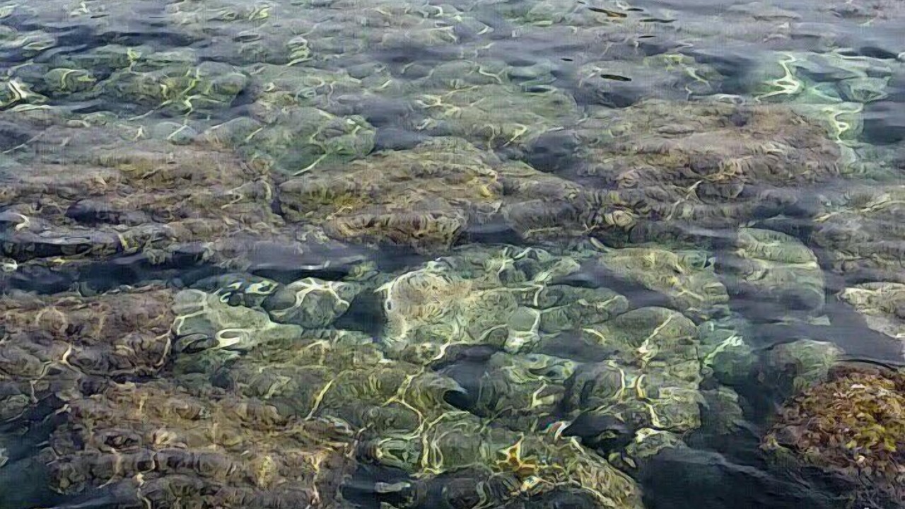 Photo of Others in Aci Trezza
