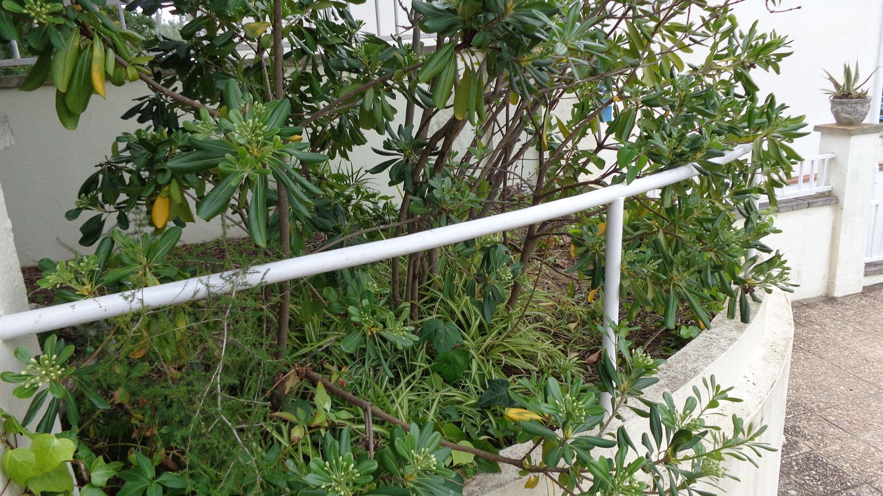 Photo of Outdoor in Roses Town Center