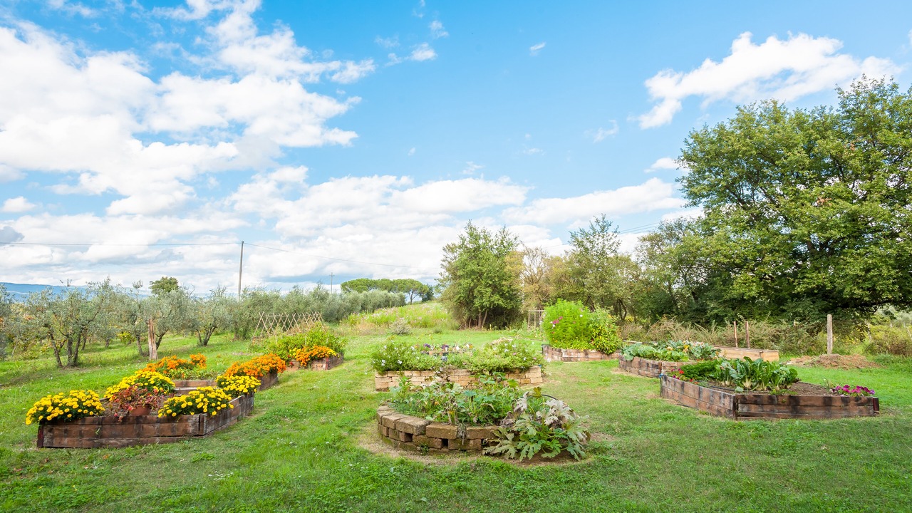 Photo of Outdoor in Ponte Buriano