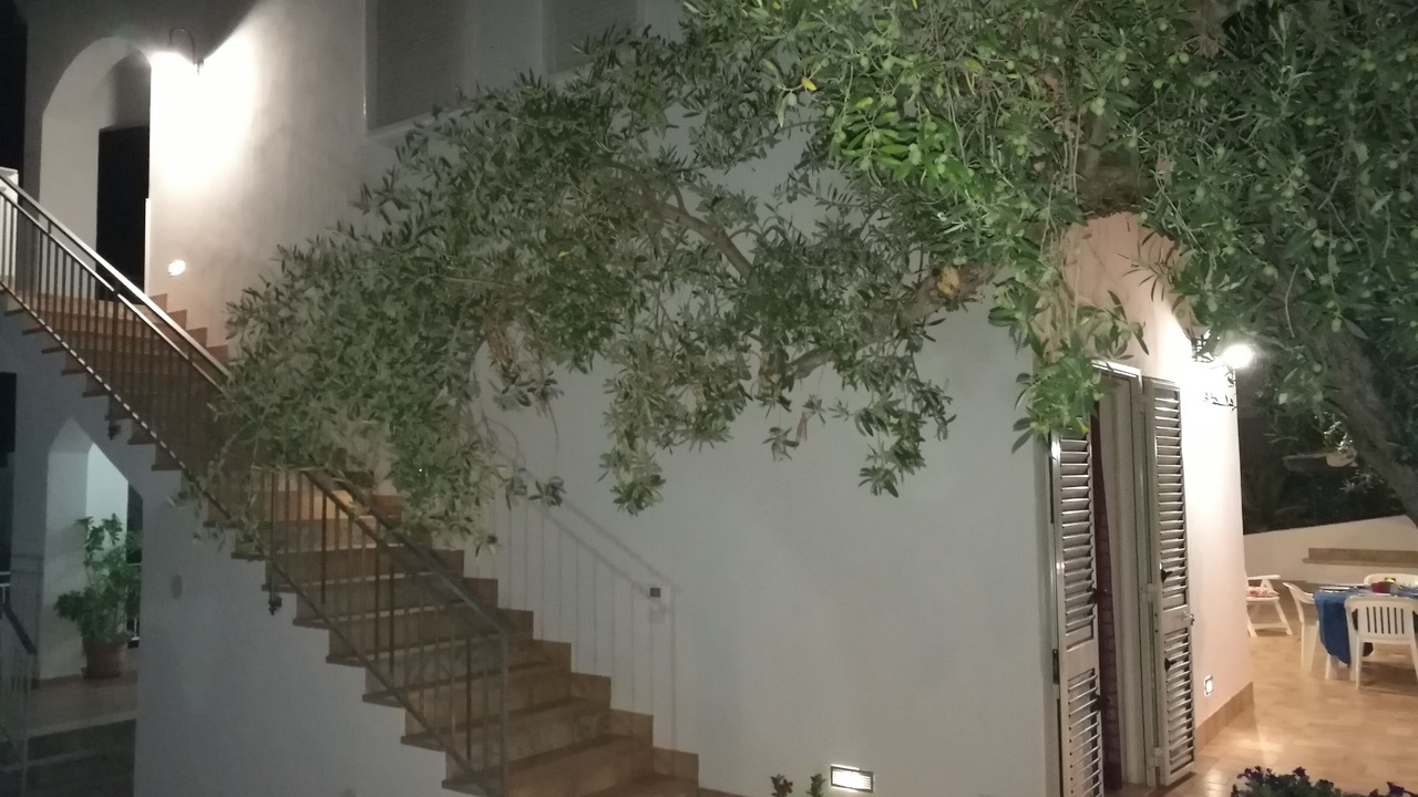 Photo of Outdoor in Localita San Giorgio