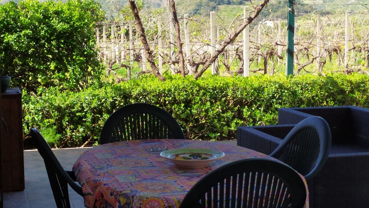 Photo of Outdoor in Mitogio