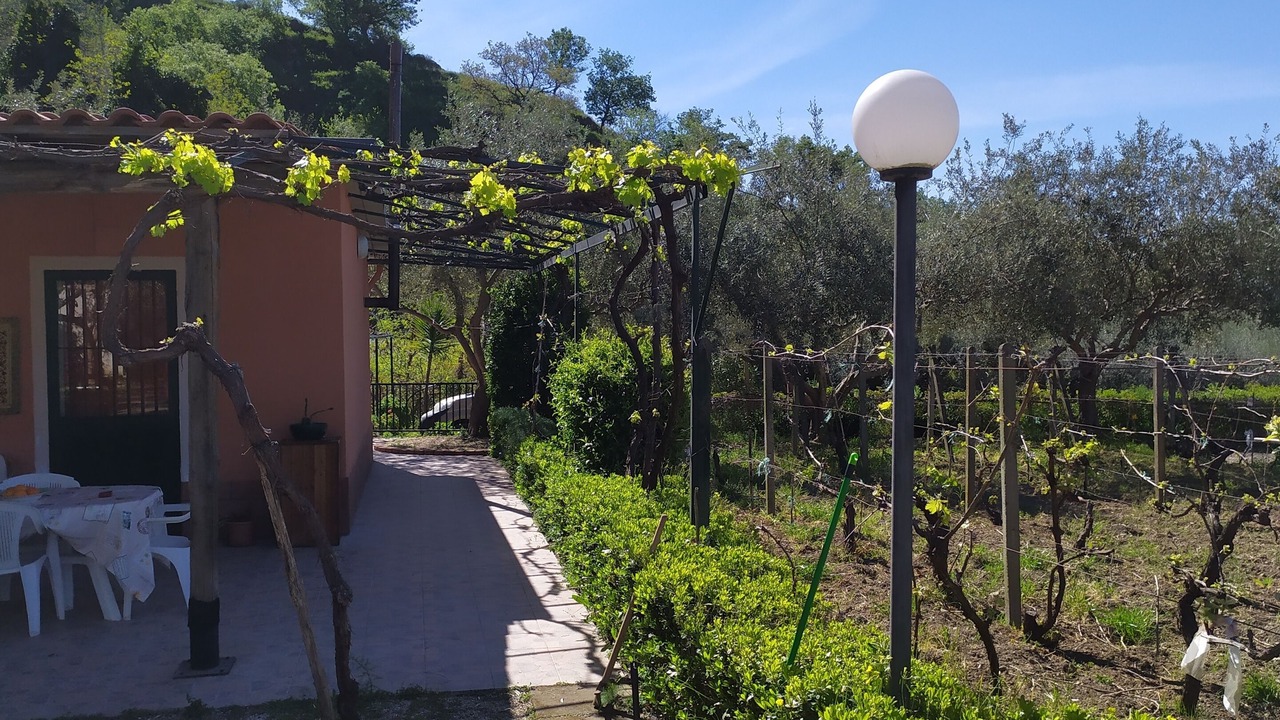 Photo of Outdoor in Mitogio