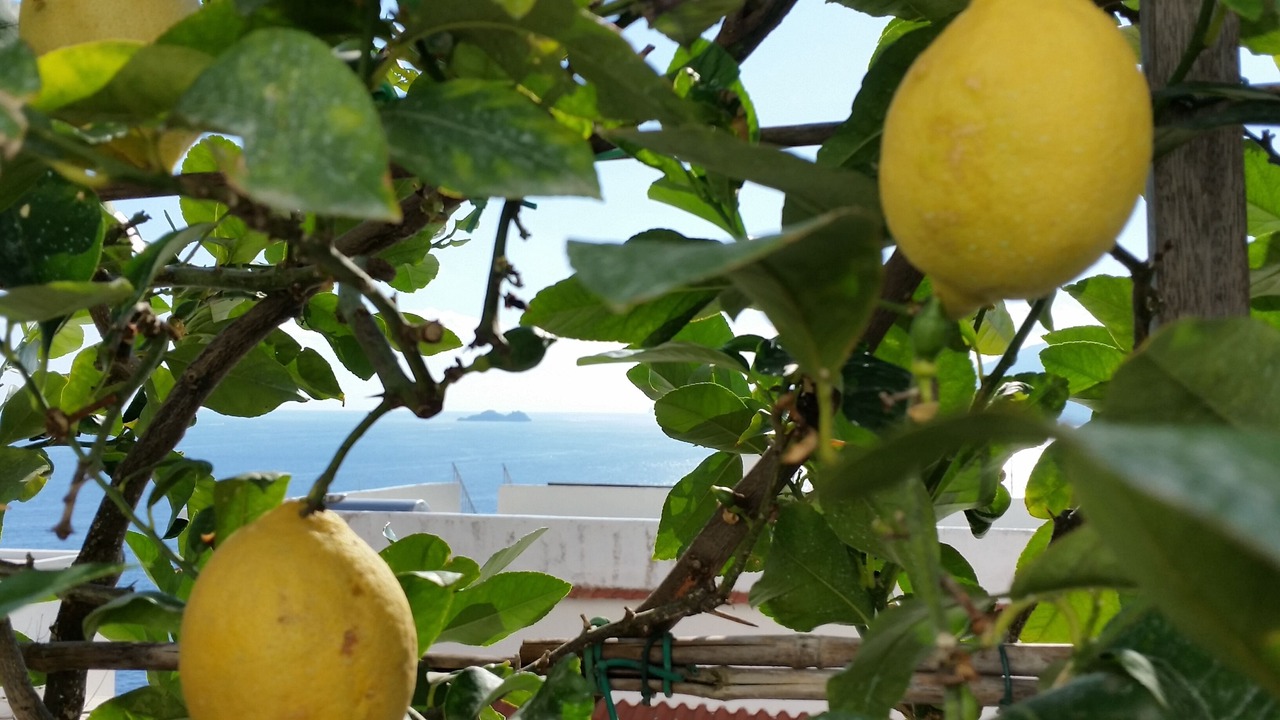 Photo of Outdoor in Baronissi