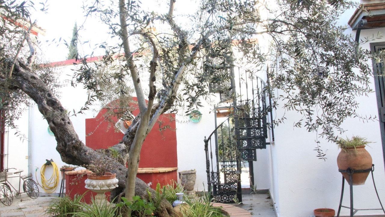 Photo of Outdoor in Cazalla De La Sierra