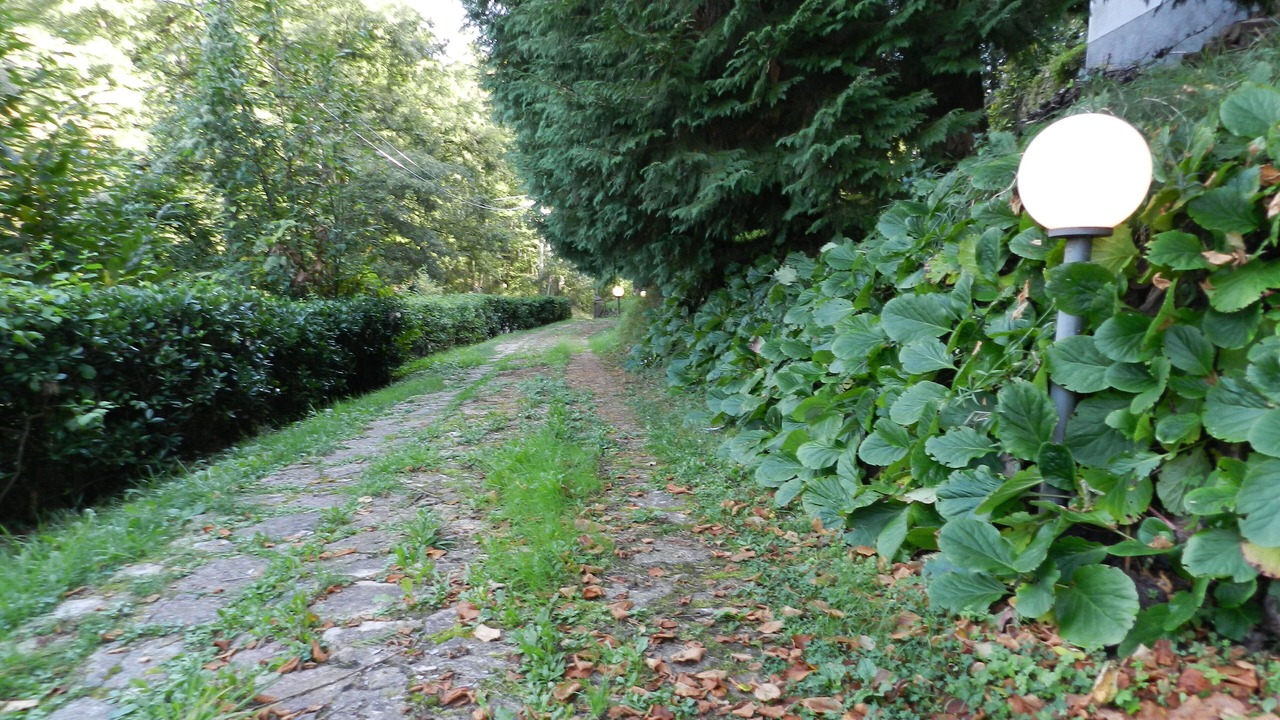 Photo of Outdoor in Ricco del Golfo di Spezia