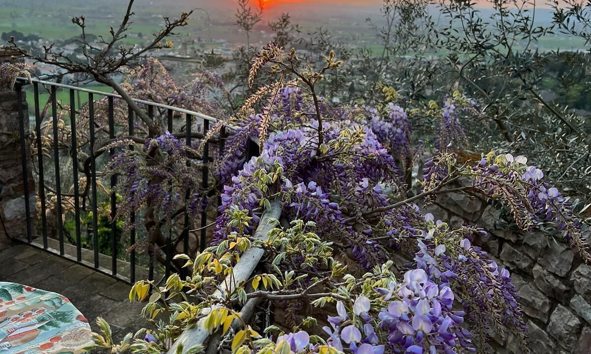 Photo of Outdoor in Spello