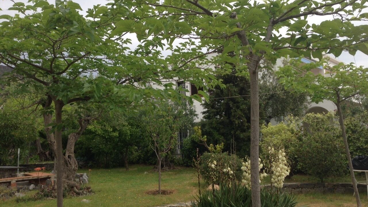 Photo of Outdoor in El Mas Bosca