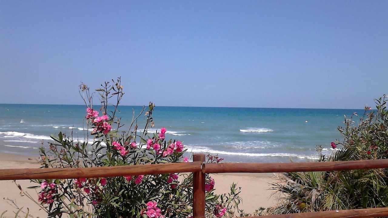 Photo of Others in Alcossebre