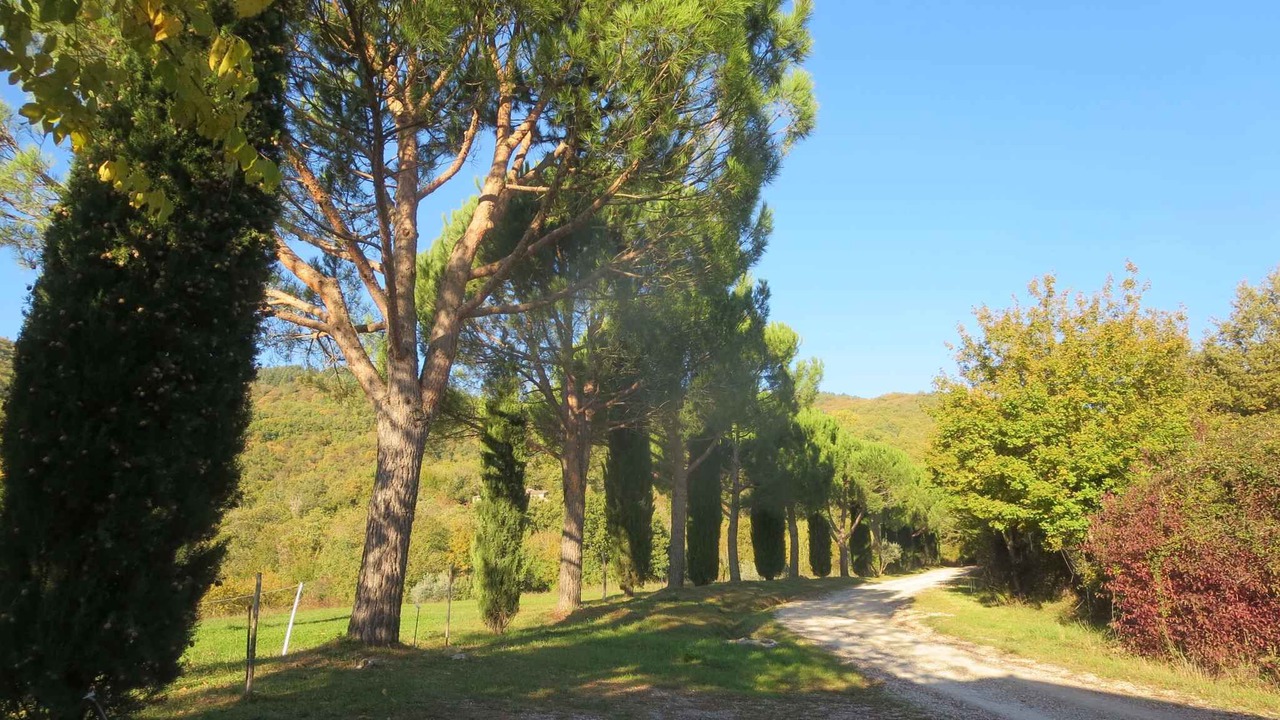 Photo of Others in Montieri