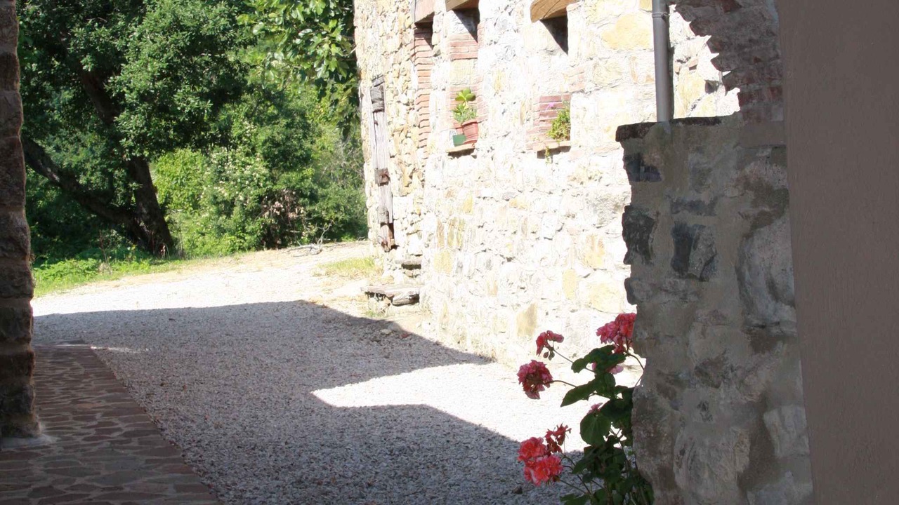 Photo of Others in Montieri